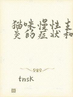 猫咪慢性支气管炎的症状和治疗方法