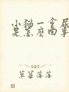 小猫一会尿一点是怎么回事