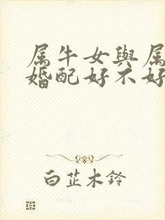 属牛女与属马男婚配好不好