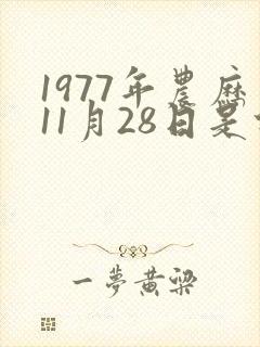 1977年农历11月28日是什么命