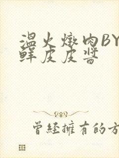 温火炖肉BY海鲜皮皮酱