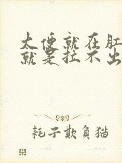 大便就在肛门口就是拉不出来怎么办