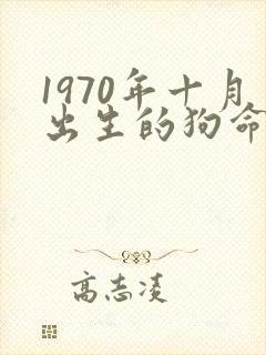 1970年十月出生的狗命好吗