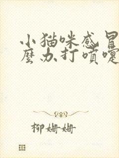 小猫咪感冒了怎么办打喷嚏流鼻涕