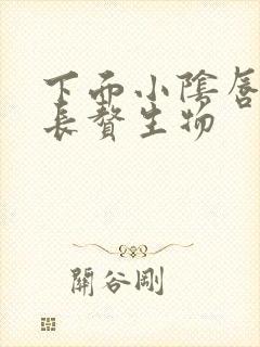 下面小阴唇内侧长赘生物