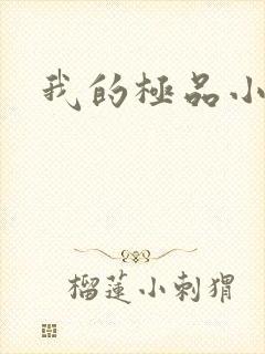 我的极品小姨