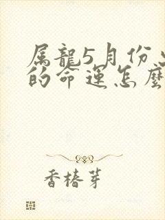 属龙5月份出生的命运怎么样封面