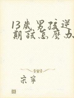 13岁男孩逆反期该怎么办