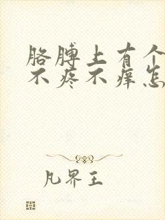 胳膊上有个疙瘩不疼不痒怎么回事封面