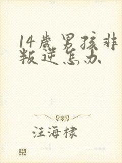 14岁男孩非常叛逆怎办封面