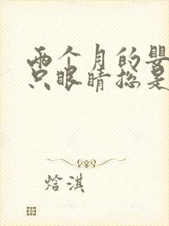 两个月的婴儿一只眼睛总是流黄眼屎