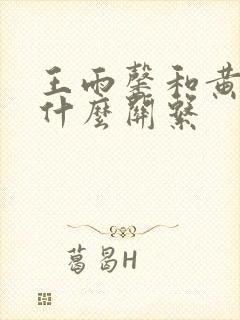 王雨馨和黄景瑜什么关系