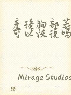 产后胸部萎缩还可以恢复吗封面