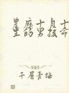 农历十月十五出生的男孩命运