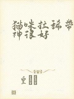 猫咪拉稀带血精神很好封面