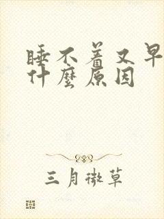 睡不着又早醒是什么原因