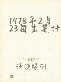 1978年2月23日生是什么命