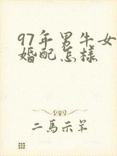 97年男牛女牛婚配怎样