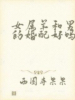 女属羊和男属鼠的婚配好吗