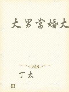 大男当婚大结局封面
