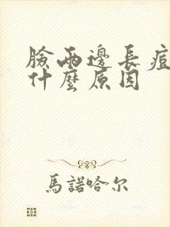 脸两边长痘痘是什么原因