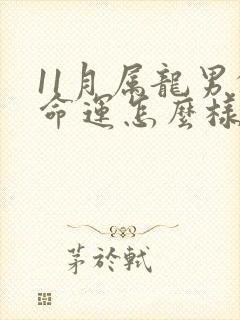 11月属龙男的命运怎么样呢