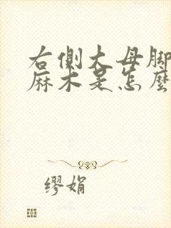 右侧大母脚趾发麻木是怎么回事封面