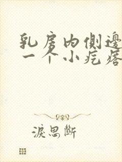 乳房内侧边缘有一个小疙瘩,按着疼