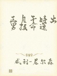 正月午时出生的男孩命运封面