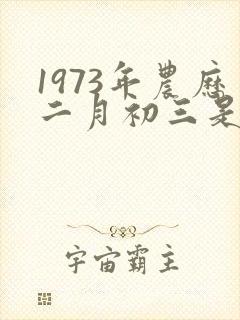 1973年农历二月初三是什么命