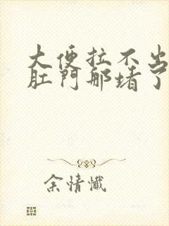 大便拉不出来在肛门那堵了一大坨