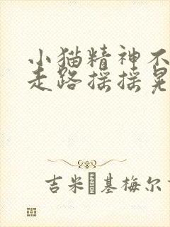 小猫精神不振,走路摇摇晃晃