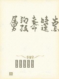 属狗未时出生的男孩命运怎么样呢封面