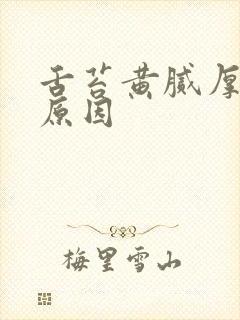 舌苔黄腻厚什么原因