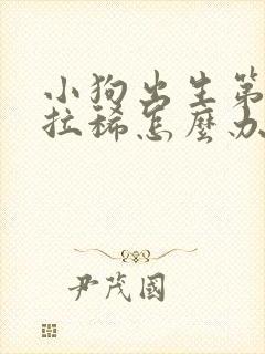 小狗出生第二天拉稀怎么办