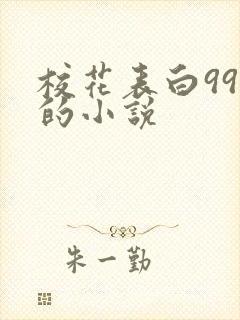 校花表白99次的小说