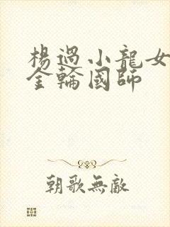 杨过小龙女大战金轮国师