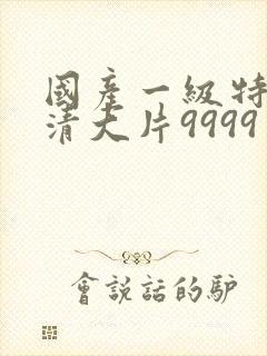 国产一级特黄高清大片9999