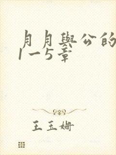 月月与公的激情1一5章