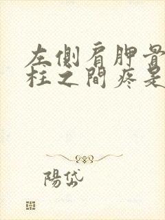 左侧肩胛骨和脊柱之间疼是怎么回事