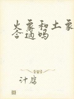 火象和土象星座合适吗