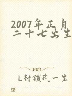 2007年正月二十七出生的命运男孩猪宝宝
