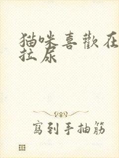 猫咪喜欢在床上拉尿