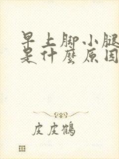 早上脚小腿抽筋是什么原因引起的