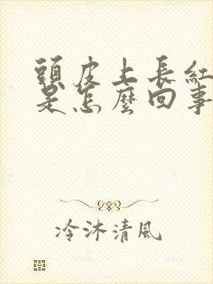 头皮上长红点点是怎么回事