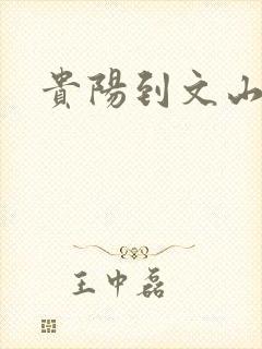 贵阳到文山物流