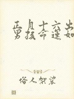 正月十六出生的男孩命运如何