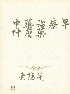 中药治疗早射吃什么药