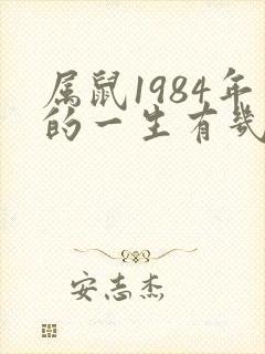 属鼠1984年的一生有几段婚姻封面