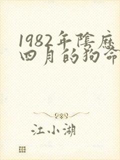 1982年阴历四月的狗命运如何